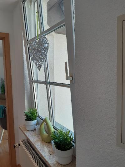 Ferienwohnung Salzmannhaus Zschopau Exteriör bild